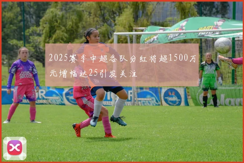 2025赛季中超各队分红将超1500万元增幅达25引发关注