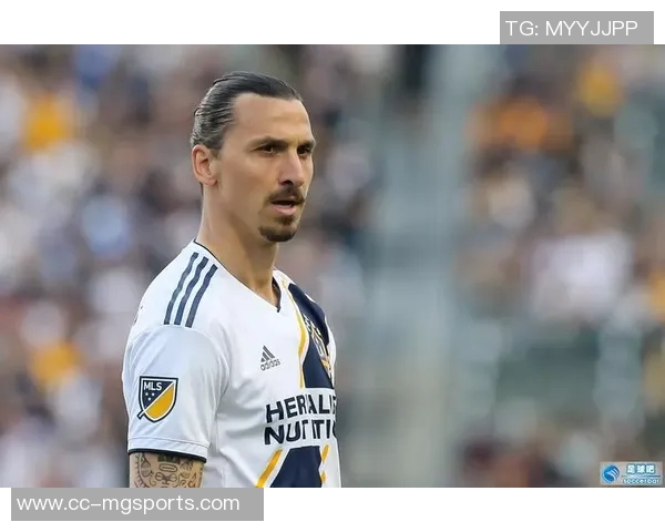 齐尔克泽因出场时间不足感到不满西汉姆联有意引进他 齐尔克泽因出场时间不足感到不满西汉姆联有意引进他