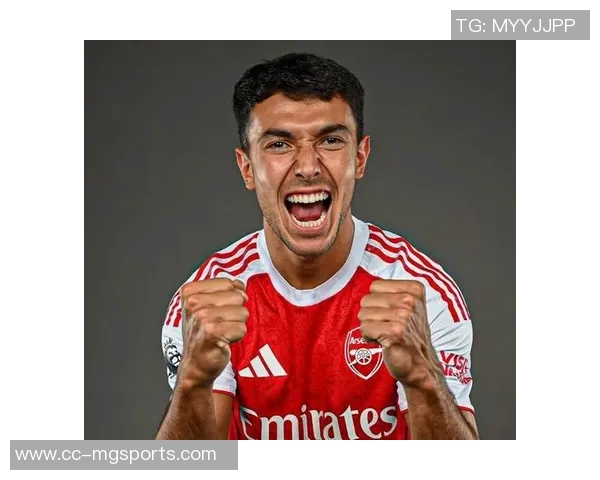 英超九月最佳进球候选名单揭晓苏维门迪赫拉芬贝赫马丁内利争夺荣誉